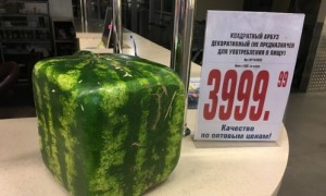 Create meme: pictures of square watermelons, photos of square watermelons, square watermelon