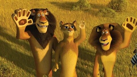 Create meme: lion Madagascar, Madagascar 2 lion Macungie, cartoon Madagascar