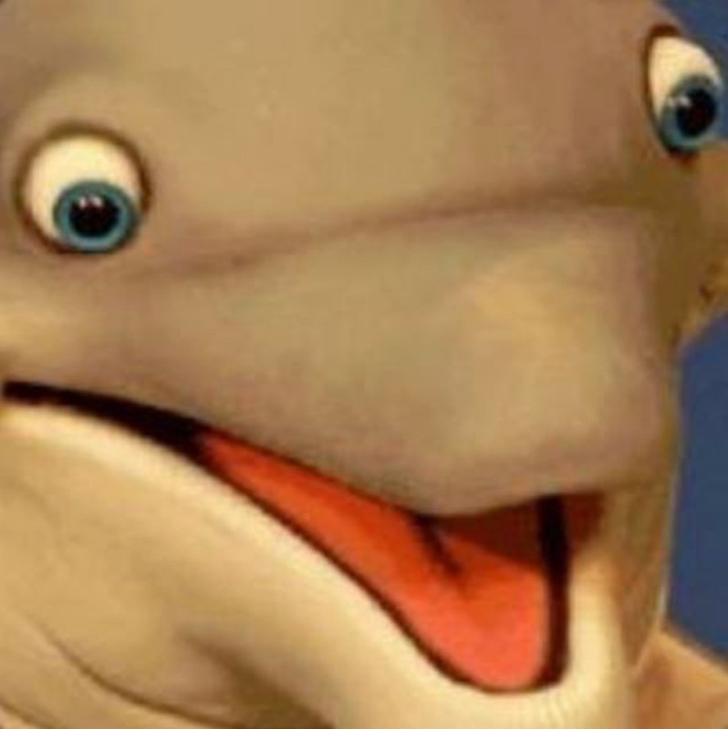 Create meme: telegram sticker, dolphin on whatsapp, Dolphin 