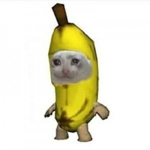 Create meme: animals, a banana, memes animals