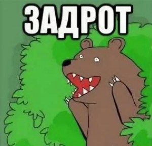 Create meme: the surprised bear meme, bear out of the bushes, meme bear