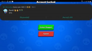 Create meme: brawl stars accounts, A screenshot of the text