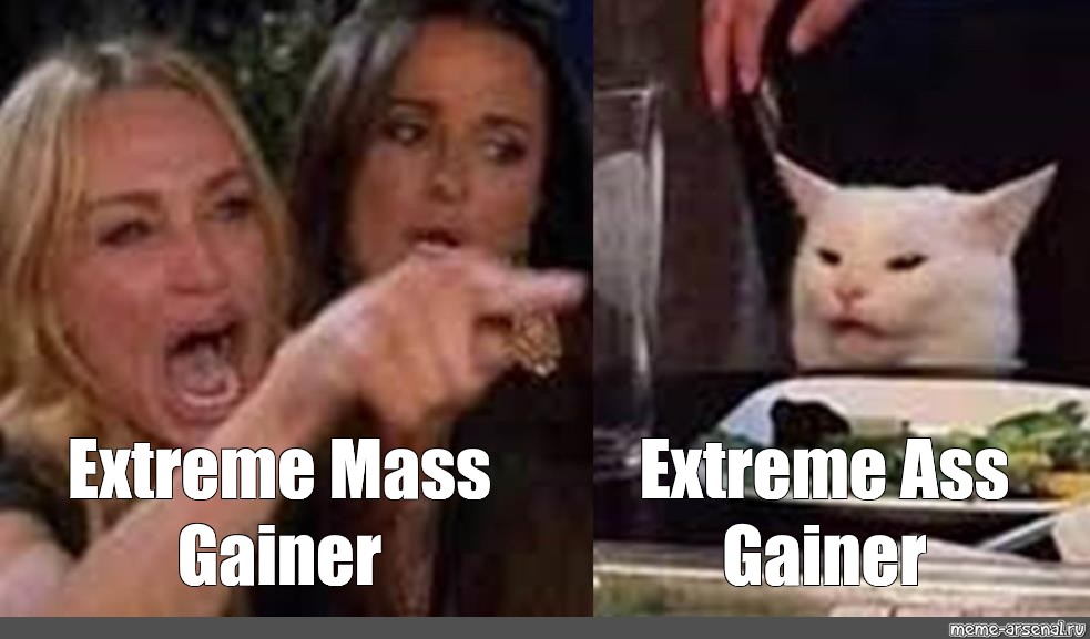 Спорящие коты мем. Мем с женщиной и котом. Мем с женщиной и котом шаблон.