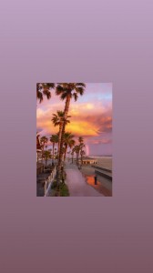 Create meme: California landscapes, sunset with palm trees, sunset