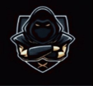 Создать мем: assassin logo, ninja logo, shadow gamer
