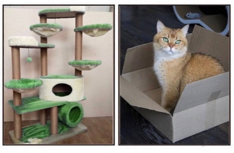 Создать мем: домик для кошки с когтеточкой и лежанкой, когтеточка высокая для кошек, когтеточка для мейн куна