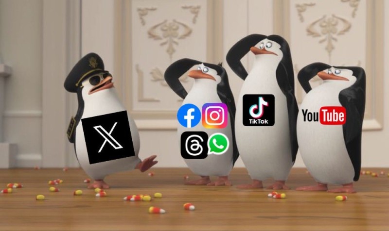 Создать мем: мультик пингвины, пингвины мадагаскара, рико пингвин