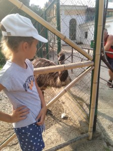 Создать мем: мини зоопарк в даугавпилсе станция юннатов, геленджик сафари парк, животное