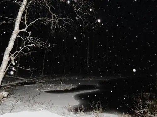 Создать мем: снег идет, снег ночью, зимний лес ночью