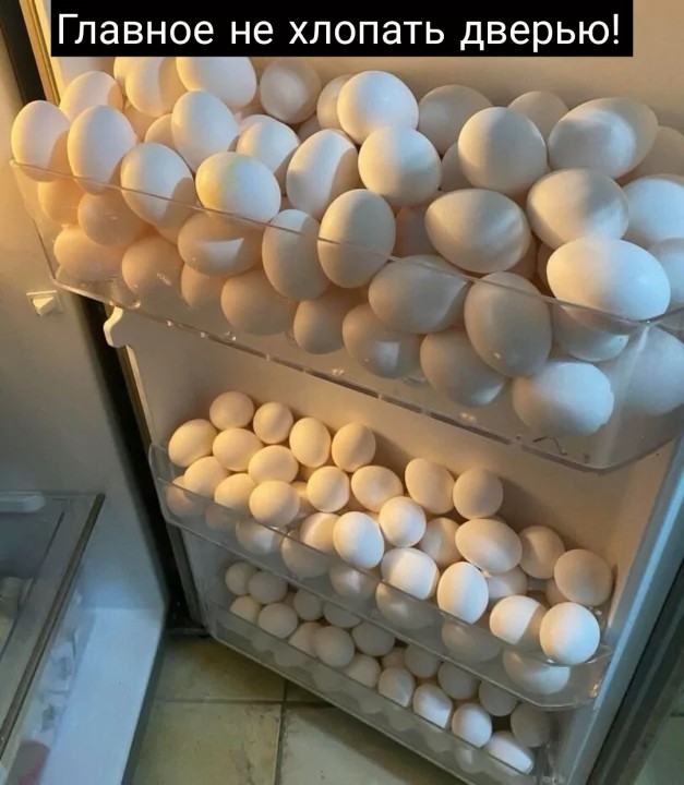 Create meme: chicken eggs, A fridge full of eggs, homemade eggs