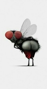Создать мем: муха, муха и сплетни, жопа мухи
