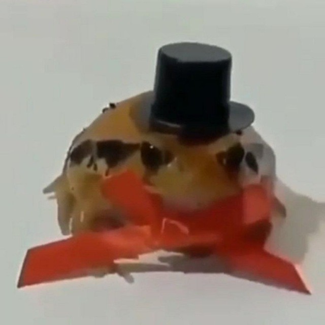 Создать мем: жабка в ночной шапке, лягушка, лягуха