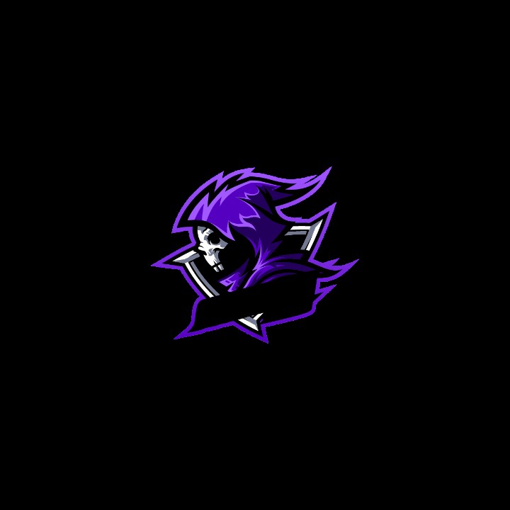 Create meme: The phantom emblem, logos cs go, the logo of the esports team
