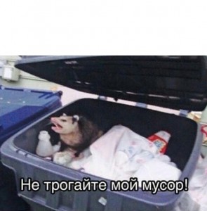 Create meme: opossum in the trash, don't touch my garbage meme, don't touch my trash