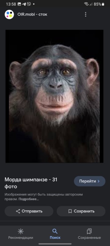 Create meme: chimpanzee, funny chimpanzee, smile chimpanzees