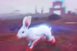 Создать мем: кролик маленький, животные заяц, животные милые