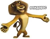 Create meme: Alex the lion on white background, Alex the lion with no background, Alex Madagascar