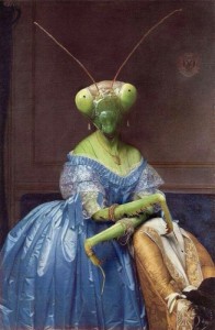 Create meme: The female praying mantis 