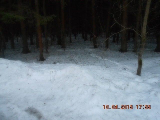 Create meme: aesthetics of winter, snow , dark forest