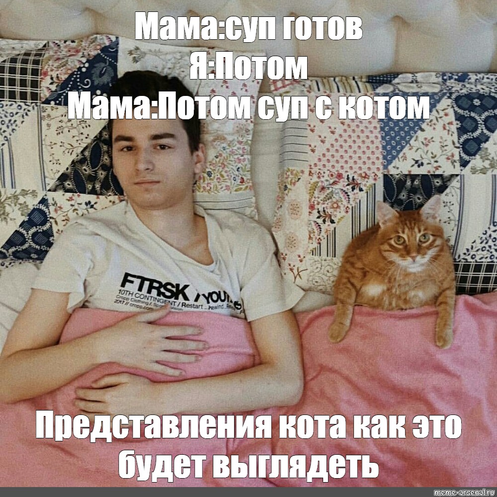 Суп С Котом Фото