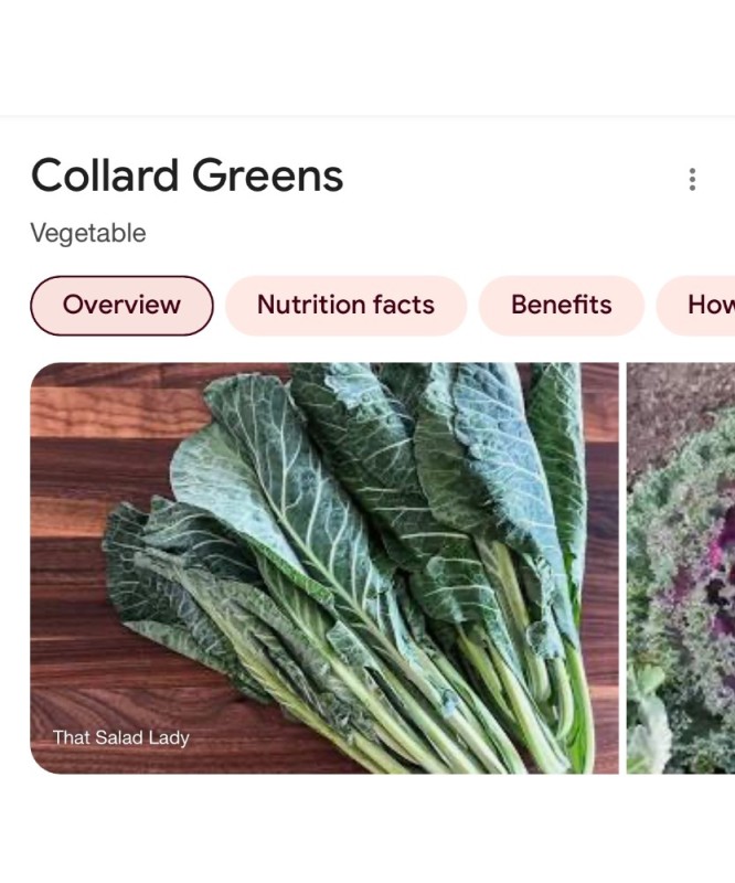 Create meme: collard greens looks like, collard greens, collard greens (brassica oleracea