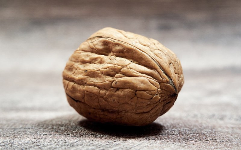 Create meme: walnut, walnut in shell, chili walnut
