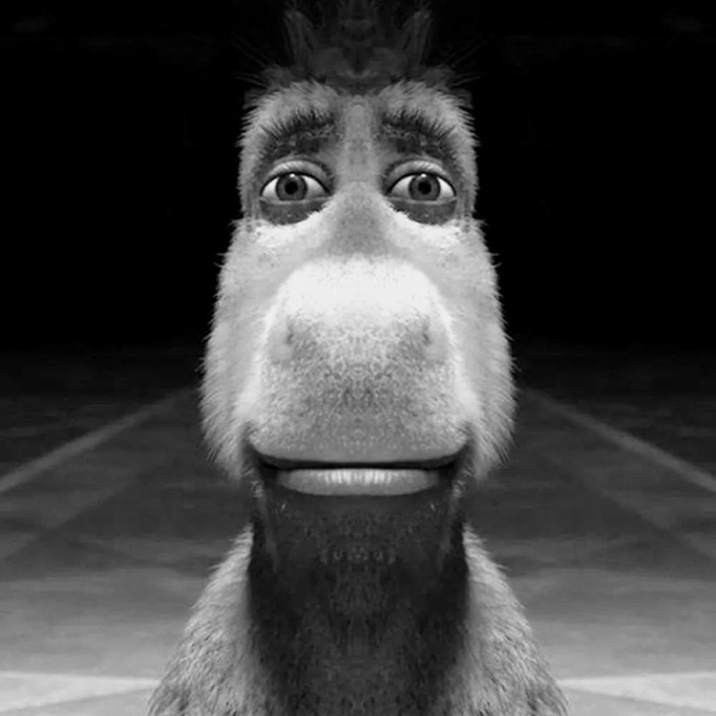 Create meme: donkey from shrek meme, donkey from Shrek , donkey shrek