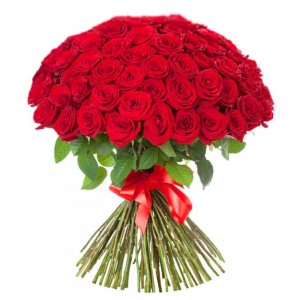 Create meme: 101 rose, a bouquet of red roses