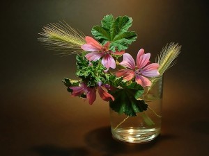Create meme: pink flowers, delicate flowers in a vase, delicate flowers
