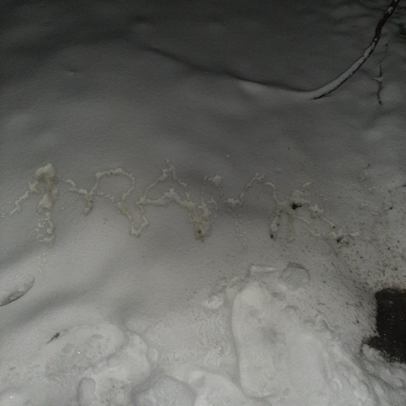 Create meme: snow tracks, lynx tracks in the snow, squirrel tracks in the snow