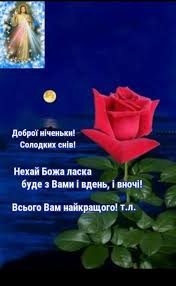 Создать мем: роза красная роза, вечерние цветы, роза в ночи