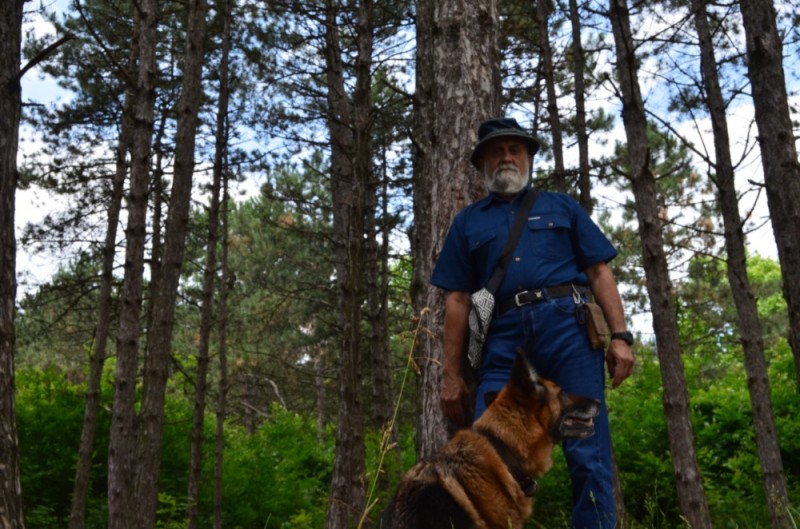Create meme: police in the forest, dog , service dogs