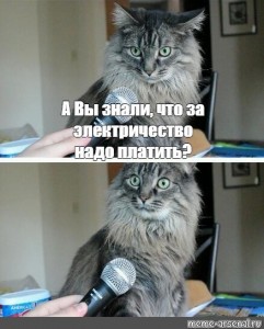 Создать мем: кот мем, удивленный кот с микрофоном, кот