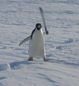 Создать мем: penguin, пингвинчики, пингвин