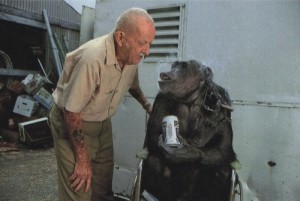 Create meme: monkey, Jane Goodall and chimpanzees, chimpanzee house