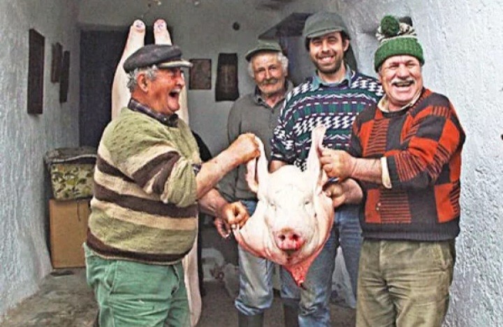 Create meme: pig slaughterhouse, pig's head on the market, swine fever