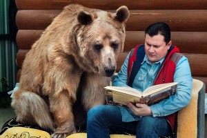 Создать мем: медведь гризли, brown bear, медведь степан пантелеенко