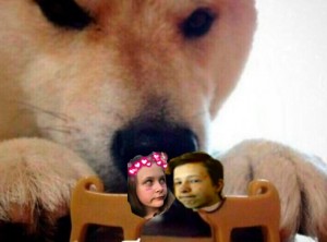 Create meme: Shiba inu bites, meme with dog, the meme with the dog