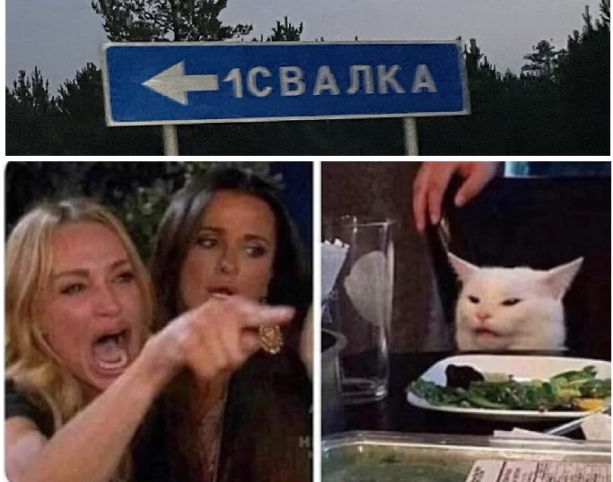 Создать мем: две девушки мем, мем две женщины орут на кота, девушки и кот мем