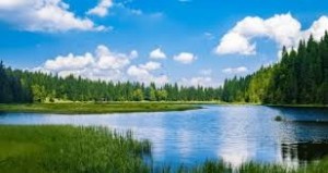 Create meme: lake, forest lake, Russian nature, lake