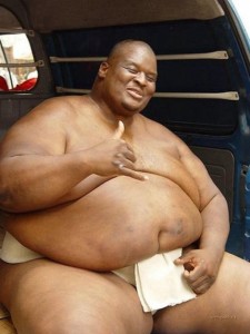 Create meme: sumo wrestler, the biggest sumo wrestler, Emanuel abraaj