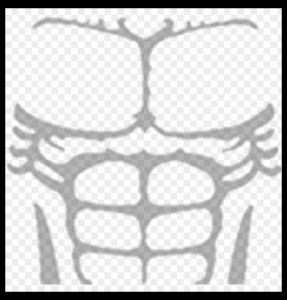 Create meme roblox t-shirt muscular, get the t-shirt muscles, roblox  muscle t-shirt png - Pictures 