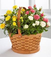 Create meme: bouquet, flowers, basket