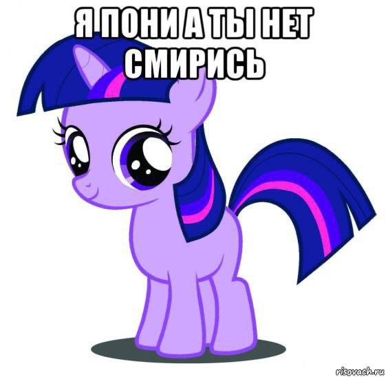 Создать мем: my little pony twilight sparkle, пони, твайлайт спаркл