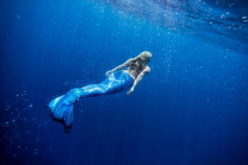 Create meme: mermaid , photos of real mermaids, The mermaid is swimming