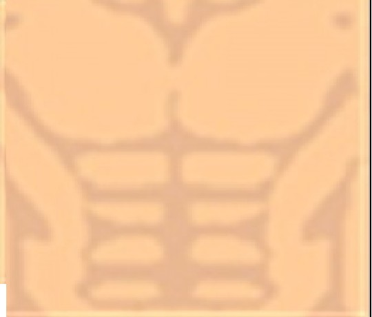 musculos png para roblox