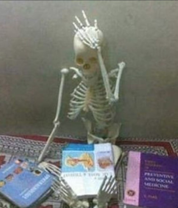 Create meme: waiting skeleton, the skeleton behind the computer, funny skeleton