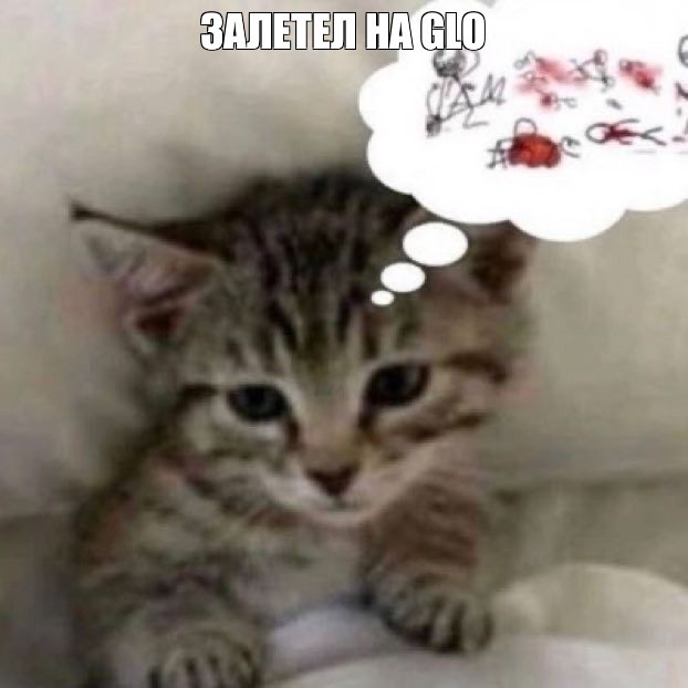Создать мем: бенгальский котенок, кошка, милые котики