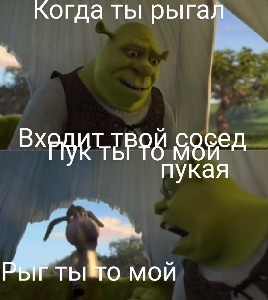 Create meme: donkey Shrek meme, Shrek, Shrek meme template