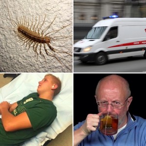 Create meme: humor, insects